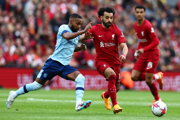 也应该成为 也应该成为