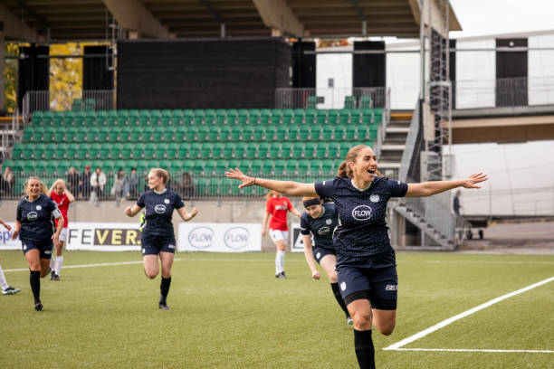 了一种新的 了一种新的