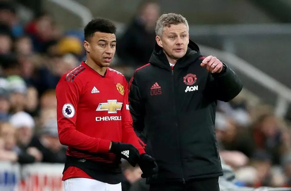 增强免疫力 增强免疫力